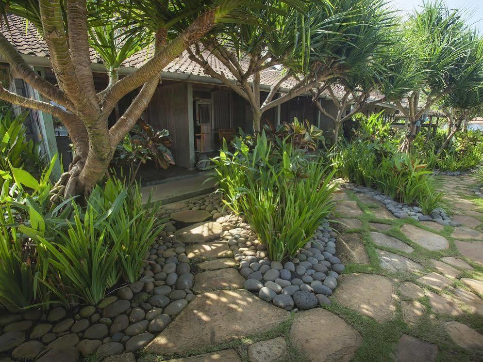 Pondok Pitaya Balian Hotel Selemadeg  المظهر الخارجي الصورة